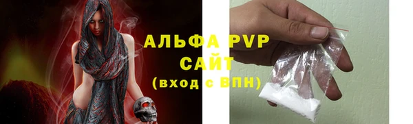 молекула духа Пересвет