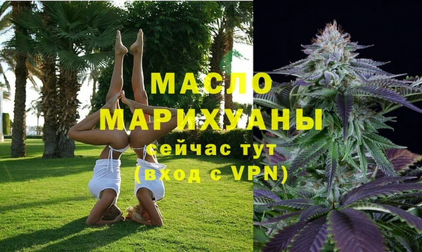 молекула духа Пересвет