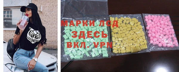крисы Сатка