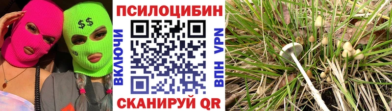 Галлюциногенные грибы Psilocybe  MEGA вход  Остров 