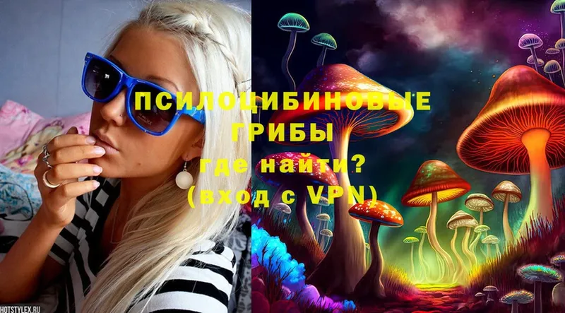 Галлюциногенные грибы Magic Shrooms  цена   Остров 